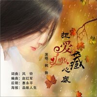 把爱藏心底 - 枫舞
