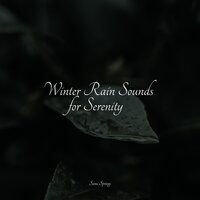Camping by the Fire - Study Power & Sounds Of Nature Relaxation & Kings of Nature