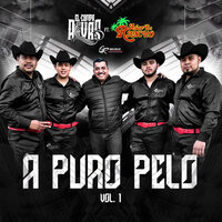 El Cabo Sauceda - En Vivo - El Compa Rivas
