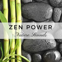 Inner Power - Silver Collection Pregnancy