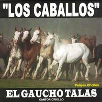 El Oscuro Patas Blancas - El Gaucho Talas