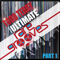 Learn How To Fly - Todd Terry
