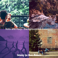Modern Moods for Insomnia - Relaxing Spa Music Moments
