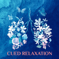 Zen Experience - Chakra Relaxation Oasis & Zen Mental Relax Sanctuary