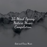 Kiso Circles - Namaste Healing Yoga & Meditation Music Club & Nature Sounds Nature Music