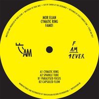 Capsuled Flow - Mor Elian