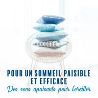 Rafraîchissement - Oasis Relaxante pour Dormir