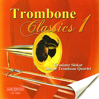 Sonate in G Minor (III. Poco Allegro) - Branimir Slokar