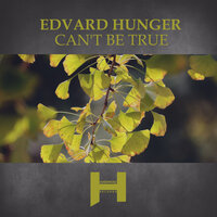 Can't Be True - Edvard Hunger