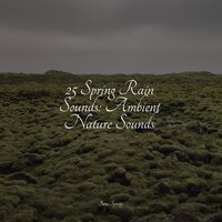 Flowing Water - Nature Chillout & Study Concentration & Relaxed Minds