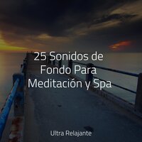 Sueños Lúcidos - Sons da Natureza & Natureza Musica Bem-Estar Academia & Dormir Sol