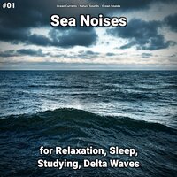 Sea Noises Pt. 4 - Ocean Currents & Nature Sounds & Ocean Sounds