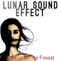 Dance in the Rain - Lunar Sound Effect