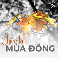 Thành phố mưa bay - Mai Hậu