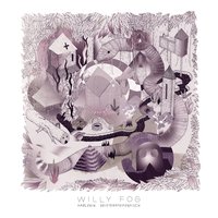 Felis - Willy Fog