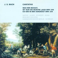 Aria: Die Schatzbarkeit der weiten Erden - Arleen Augér & Johann Sebastian Bach