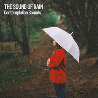Gentle Rain Atmosphere - Sleep Music & Spa Music & Music for Sleep