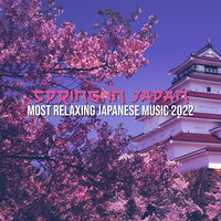 Relaxation Zen Garden - Asian Meditation Music Universe & Odyssey for Relax Music Universe