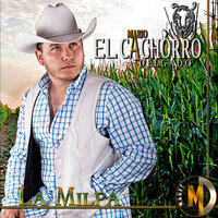 Y - Mario "El Cachorro" Delgado