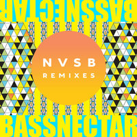 You & Me - Bassnectar & W. Darling