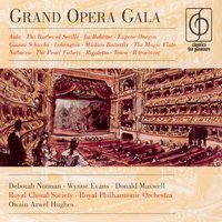 Aida, Act II: Gloria all'Egitto (Grand March) (Act II) - Owain Arwel Hughes & Джузеппе Верди