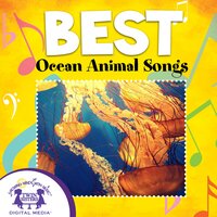It's The Dolphin Symphony - Nashville Kids' Sound