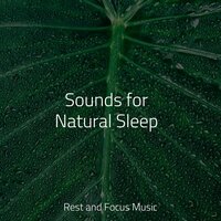 Yawn Away - Tranquil Music Sound Of Nature & Rising Higher Meditation & Deep Sleep Music Delta Binaural 432 Hz