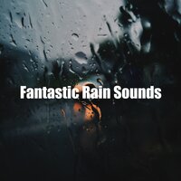 Windy Rain Sound - Rain Sounds FX