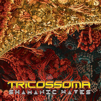 Beyond the Dark - Tricossoma