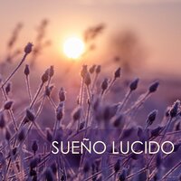 Emociones y Pensamiento Positivo - Sueño Lucido