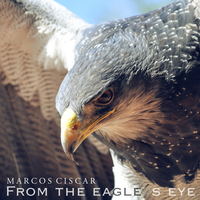 From the Eagle's Eye - Marcos Ciscar