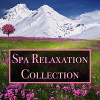 Calming Mood - Spa Relaxation, Spa Relaxation & Spa and Chill Out Lounge Café Essentials & Spa Relaxation & Spa Relaxation & Spa and Chill Out Lounge Café Essentials