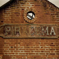 Piracema - Do Amor