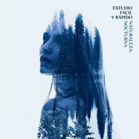 Estudiar Tranquilo - Academia de Música para Estudiar Fácilmente