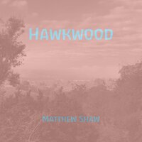 Woodland walk - Matthew Shaw