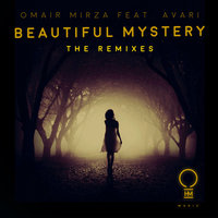 Beautiful Mystery - Omair Mirza