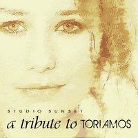 Professional Window - Studio Sunset