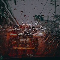 Morning Window Rain - Spa & Relaxing Mindfulness Meditation Relaxation Maestro & Sleep Waves