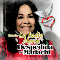 Salvador - Mariachi Nuevo Tecalitlan