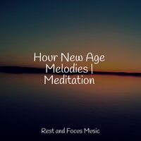 Forty Winks - Calm shores & Deep Sleep Systems & Deep Sleep Music Academy