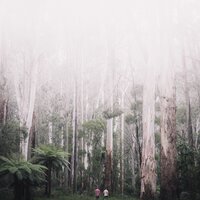 Olas de Relajación - Fabricantes De Lluvia & Música para Relaxar Maestro & Musica relajante con sonidos de la naturaleza