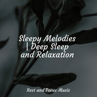 Trust - Sounds of Nature White Noise for Mindfulness Meditation and Relaxation & Kinderlieder-Superstar & White Noise for Baby Sleep
