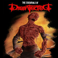 Aku Akan Bunuh Kamu - Disinfected
