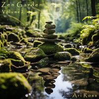 Zen Rapide - Ari Ross
