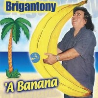 Mambo rock - Brigan tony