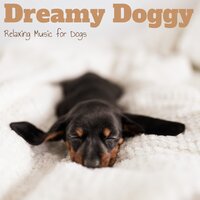 Inner Voicings - Sleepy Dogs & Dog Calming Music & Dog Relaxation