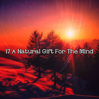 Natural Sanctuary - Relaxing With Sounds of Nature and Spa Music Natural White Noise Sound Therapy