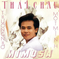 Tango Tím - Thái Châu