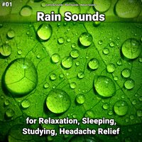 Nature Sounds of Rain for Elevators - Calming Sounds & Rain Sounds & Nature Sounds