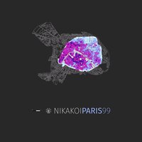 Policia Giorgi - Nikakoi